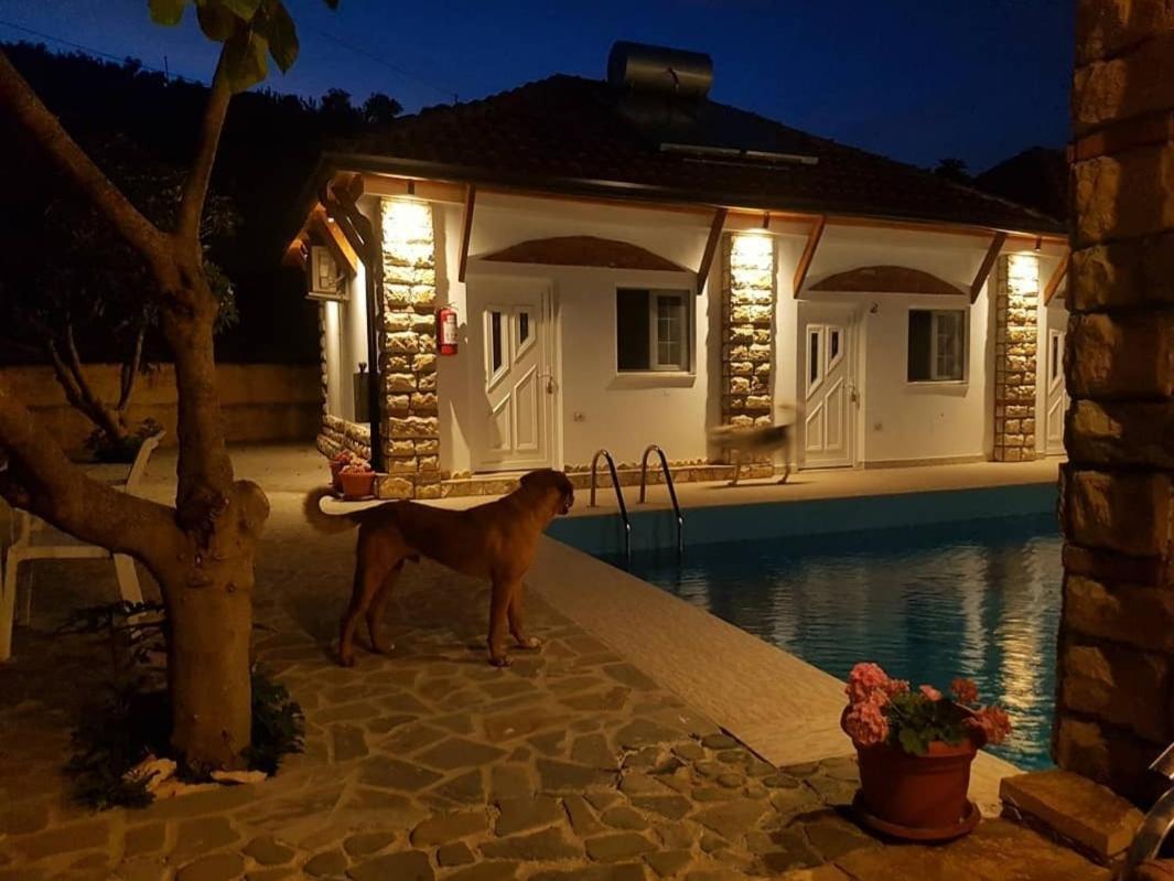 Guesthouse Lord Byron Tepelene Ngoại thất bức ảnh
